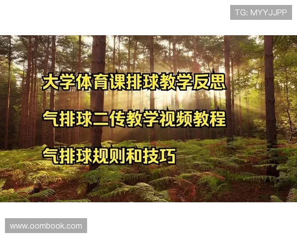 全面掌握基础体育活动技巧从入门到精通的实用教程
